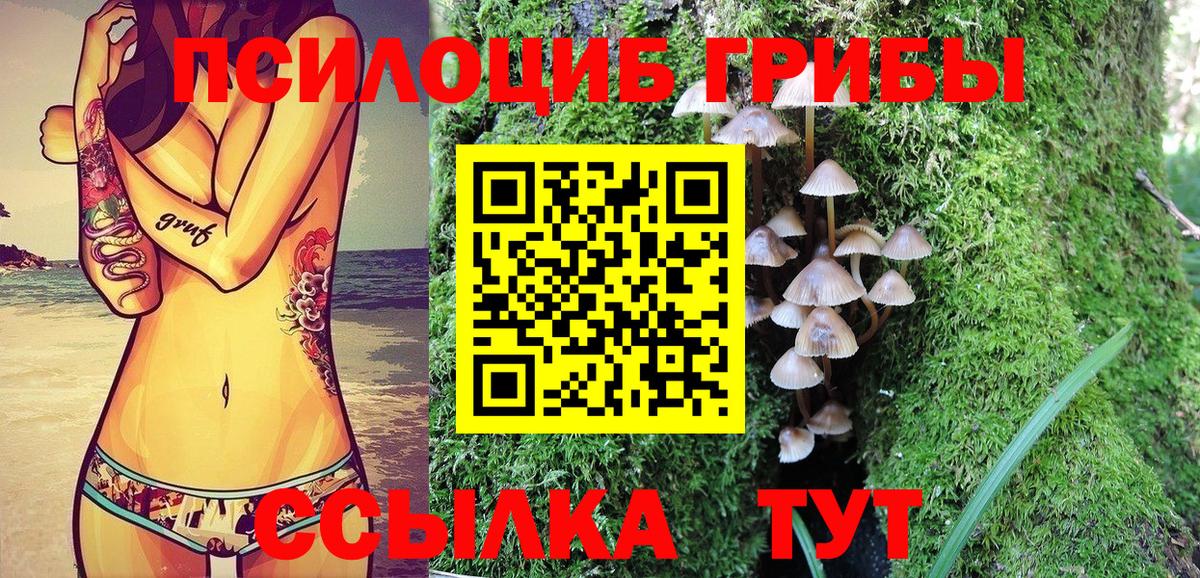 Псилоцибиновые грибы прущие грибы Гатчина