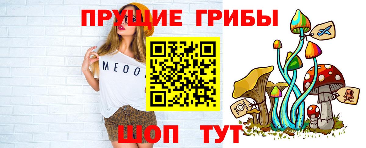 как найти закладки  Вход с VPN  Гатчина  Галлюциногенные грибы Psilocybine cubensis 